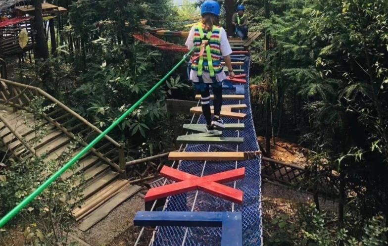 6��ĸ��